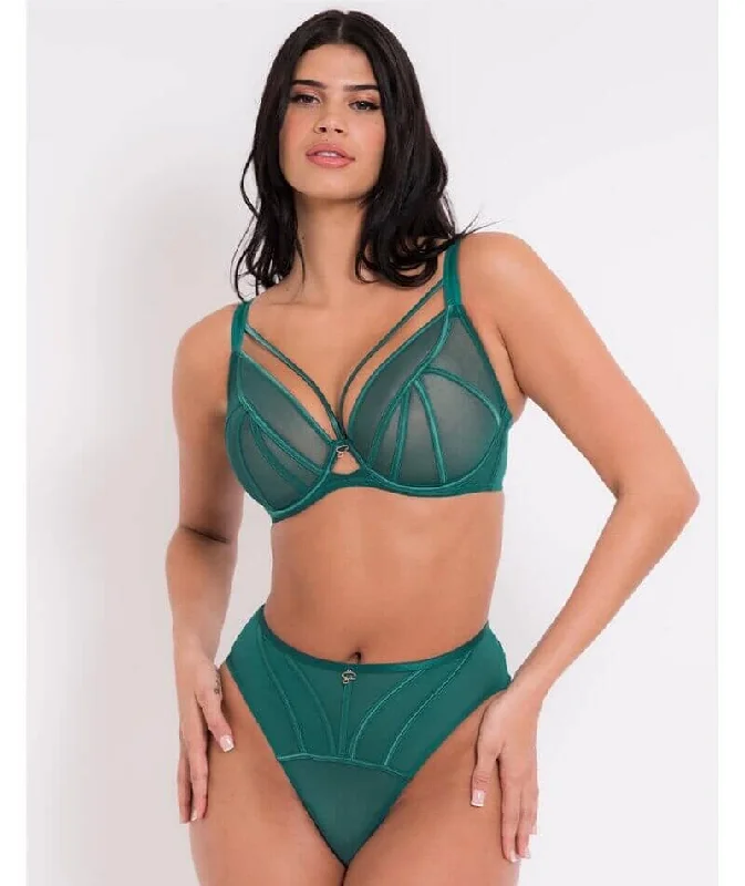 Scantilly Senses High Waist Brief - Verdigris Green